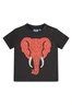FLINQ baby jongens  T-shirt